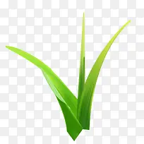 小草的细微图-空若网 小草的细微图-空若网