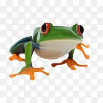 创意漂亮青蛙-空若网 创意漂亮青蛙-空若网