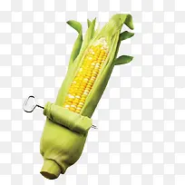 成熟玉米-空若网 成熟玉米-空若网