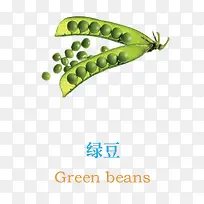 绿豆-空若网 绿豆-空若网