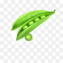 四季豆-空若网 四季豆-空若网