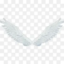 ��ɫ���-������