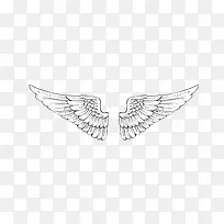 翅膀-空若网 翅膀-空若网