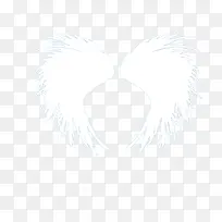 ���-������