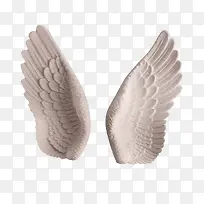 柔软的一对翅膀-空若网 柔软的一对翅膀-空若网