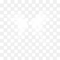 翅膀-空若网 翅膀-空若网