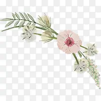 �ֻ滨��-������