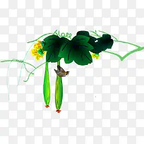 苦瓜-空若网 苦瓜-空若网