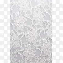 ��˿���߱���-������