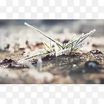 白色树枝冰雪海报背景-空若网 白色树枝冰雪海报背景-空若网