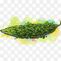 矢量手绘苦瓜-空若网 矢量手绘苦瓜-空若网