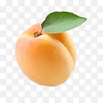 白水杏-空若网 白水杏-空若网