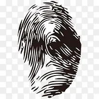 指纹-空若网 指纹-空若网