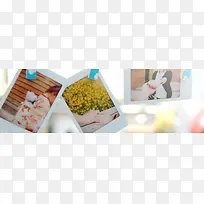 ��Լ��Ƭ������������-������