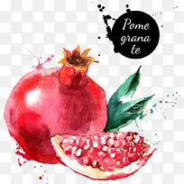 时尚创意彩色石榴-空若网 时尚创意彩色石榴-空若网