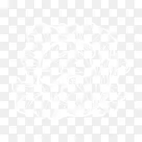 亚热带爱丽丝泉沙漠气候植物-卷心菜-空若网 亚热带爱丽丝泉沙漠气候植物-卷心菜-空若网