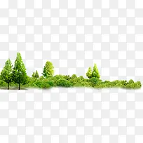 植物夏日绿草大树-空若网 植物夏日绿草大树-空若网