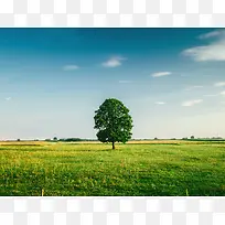 ����������Ȼ����-������