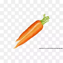 剪贴画-胡萝卜-空若网 剪贴画-胡萝卜-空若网