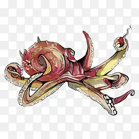 矢量章鱼-空若网 矢量章鱼-空若网