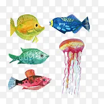 ʸÁ¿Ë®²ÊÓã-¿ÕÈôÍø ʸÁ¿Ë®²ÊÓã-¿ÕÈôÍø