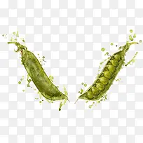 豌豆-空若网 豌豆-空若网