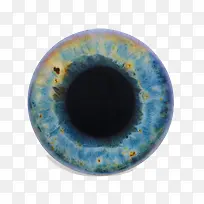 ��ɫˮ������-������