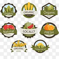 矢量手绘天然食物-空若网 矢量手绘天然食物-空若网