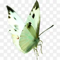 ��ɫ�ڵ�����ز�-������