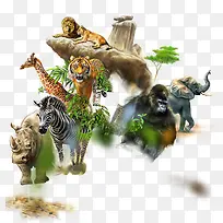 插画动物-空若网 插画动物-空若网