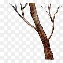 树干-空若网 树干-空若网
