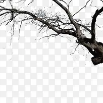 �Ϲ���ͼ-������