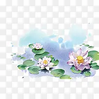 蓝莲花插画-空若网 蓝莲花插画-空若网