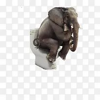 创意马桶-空若网 创意马桶-空若网