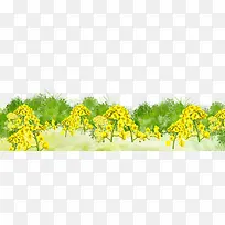 春天油菜花开插画-空若网 春天油菜花开插画-空若网