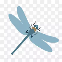 �׳�����-����-������