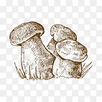 手绘-空若网 手绘-空若网