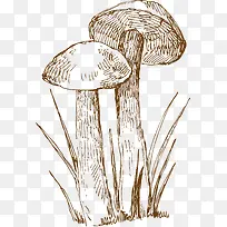 �ֻ�-������