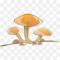 �ɰ�Ģ��-������