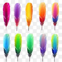 彩色的羽毛-空若网 彩色的羽毛-空若网