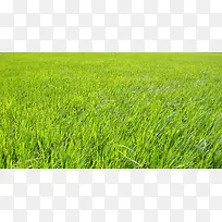 Ұ����̲�-������