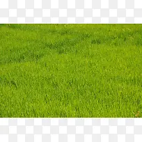 Ұ����̲�-������