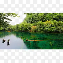 ��կ������-������