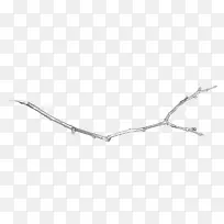 Ö¦ÌõpngͼƬ-¿ÕÈôÍø Ö¦ÌõpngͼƬ-¿ÕÈôÍø