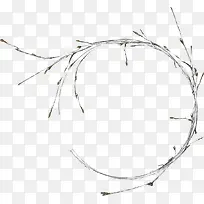 树枝-空若网 树枝-空若网
