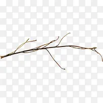 ϸ֦Ҷ-������