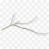 枝叶-空若网 枝叶-空若网