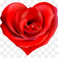 ��ɫ��ͨ����õ������-������