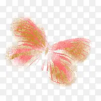 橙色彩绘蝴蝶-空若网 橙色彩绘蝴蝶-空若网