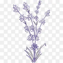 ×ÏÉ«´¿É«ÏßÌõÞ¹Ò²Ý-¿ÕÈôÍø ×ÏÉ«´¿É«ÏßÌõÞ¹Ò²Ý-¿ÕÈôÍø